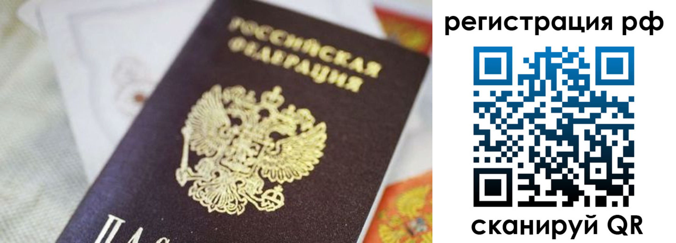 прописка гарантия в Саранске